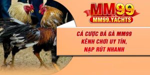 Cá Cược Đá Gà MM99 – Kênh Chơi Uy Tín, Nạp Rút Nhanh
