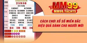 Cách Chơi Xổ Số Miền Bắc Hiệu Quả Dành Cho Người Mới