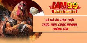 Đá Gà Ăn Tiền Thật – Trực Tiếp, Cược Nhanh, Thắng Lớn