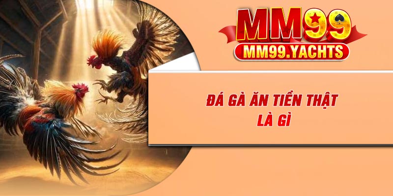 Đá gà ăn tiền thật là gì