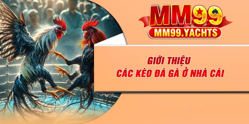 Giới thiệu các kèo đá gà ở nhà cái
